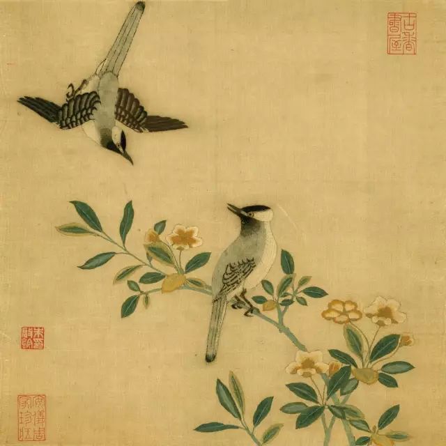 雙鳥(niǎo)圖案
